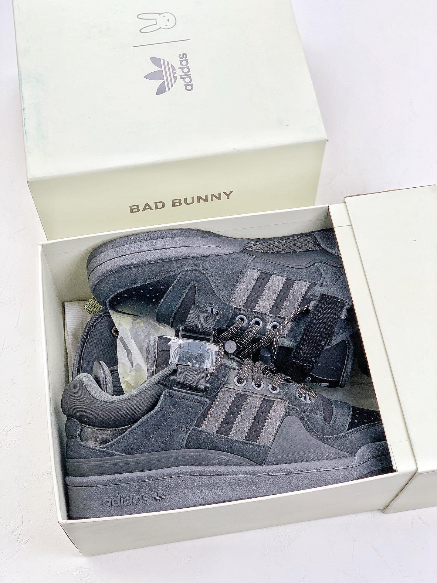 AD. Bad Bunny Forum